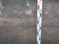 S6-IMG_5694.JPG